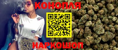 сатива Шахты