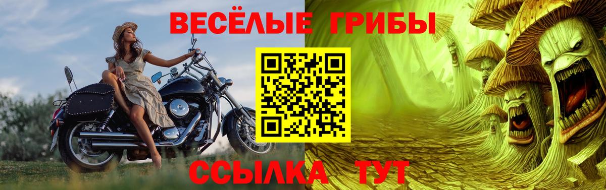 Людиново  Галлюциногенные грибы прущие грибы  Галлюциногенные грибы Cubensis  Вход с VPN 
