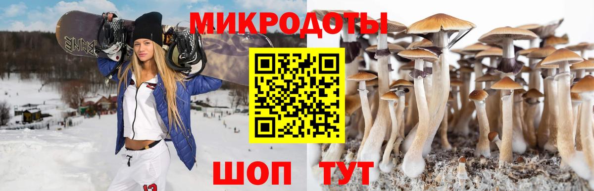 Галлюциногенные грибы прущие грибы Людиново